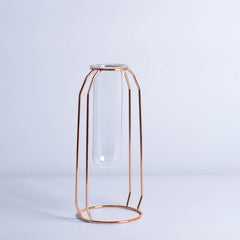 Glass Hydroponic Wire Metal Geometric Wrought Iron Vase