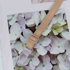 Bra underwear straps