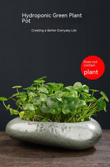 Non-porous Hydrocotyle Bowl Lotus Sleeping Lotus Lotus Flowerpot Cylinder Ceramic Stone Succulents Extra Large Hydroponic Vessel