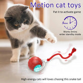 New Cat Rolling Ball Bird Chirping Interactive Cats Pets Toys Mot Pet Products - Fashionner