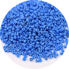 Painted Glass Rice Beads Mixed Colors