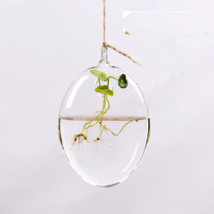 Hanging Transparent Glass Vase Simple Hydroponic Small Hanging Bottle