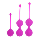 Vagina Contracting Ball Female Postpartum Private Parts Dumbbell - Fashionner