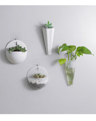 2660 Hydroponic Wall Flower Hanging Basin Wall Mounted Hanging Vase Lazy Plastic Wall Hanging Wall Green Radish Flower Hanging Basin