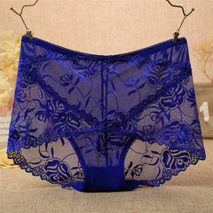 Solka Oversized Plus size Women's Lace Mesh Briefs Intimates underwears Innerwear Underpanties European Size - Fashionner