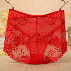 44112120905885|44112120938653|44112120971421