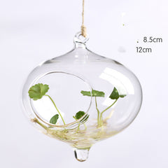 Hanging Transparent Glass Vase Simple Hydroponic Small Hanging Bottle