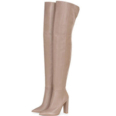 Pointed Snakeskin High Over The Knee Boots Plus Size - Fashionner