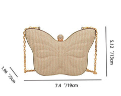 Cute Butterfly Stripe Clipped Button Metal Women's Chain Messenger Bag