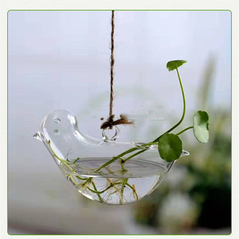 Aneth vert hydroponique et herbe à monnaie chinoise, verrerie mignonne avec oiseau