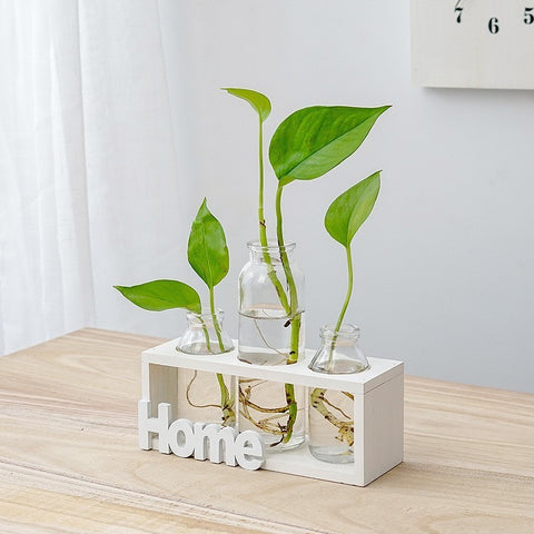 Vase en verre simple et frais pour hydroponie