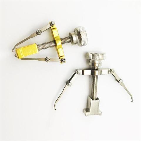 Segolike Ingrowing Nail Toenail - Fashionner