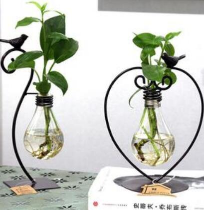 Jardinière hydroponique intérieure, pot de fleurs en verre avec support en acier