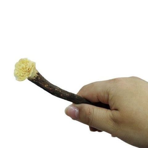 🌿 Miswak Natural Toothbrush Sticks (6 Pack) – Chemical-Free Oral Care