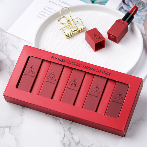 Lot de 5 rouges à lèvres vitaminés