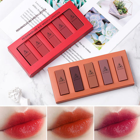 Lot de 5 rouges à lèvres vitaminés