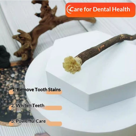 🌿 Miswak Natural Toothbrush Sticks (6 Pack) – Chemical-Free Oral Care