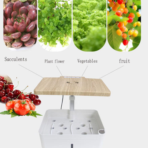 Automated hydroponic vegetable pot