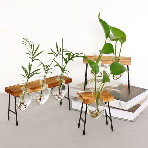 Vase hydroponique créatif en verre, pot de plante de dill vert, jardinière transparente, panneau de surface de bureau, vase décoratif.