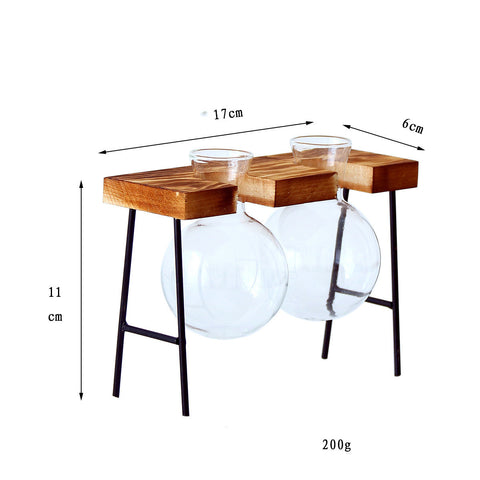 Vase hydroponique en verre transparent avec cadre en fer et support en bois