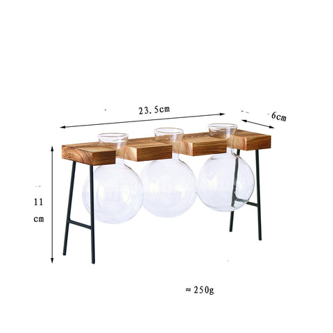 Vase hydroponique en verre transparent avec cadre en fer et support en bois