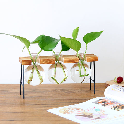 Vase hydroponique en verre transparent avec cadre en fer et support en bois
