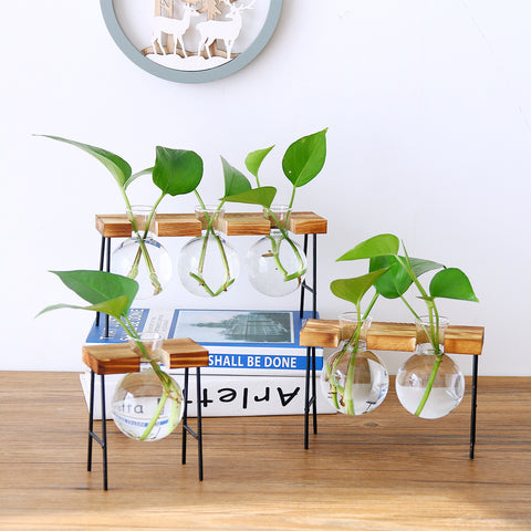 Vase hydroponique en verre transparent avec cadre en fer et support en bois