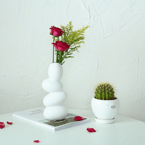Ornements décoratifs simples de vase hydroponique en céramique