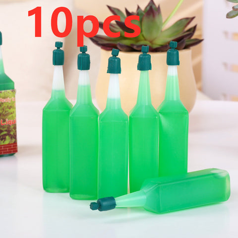 Bouteille 38ML Engrais concentré à base de déjections de vers de terre bio Olivier Bonsaï Solution nutritive hydroponique Universel pour plantes en pot