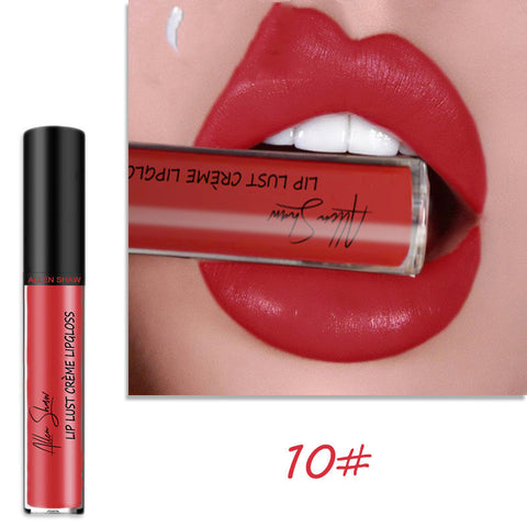 Gloss à lèvres à texture crème soyeuse Aliexpress Shopee Lèvres brillantes exclusives transfrontalières Rouge à lèvres