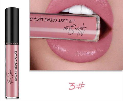 Gloss à lèvres à texture crème soyeuse Aliexpress Shopee Lèvres brillantes exclusives transfrontalières Rouge à lèvres