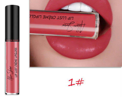 Gloss à lèvres à texture crème soyeuse Aliexpress Shopee Lèvres brillantes exclusives transfrontalières Rouge à lèvres