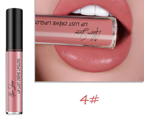 Gloss à lèvres à texture crème soyeuse Aliexpress Shopee Lèvres brillantes exclusives transfrontalières Rouge à lèvres