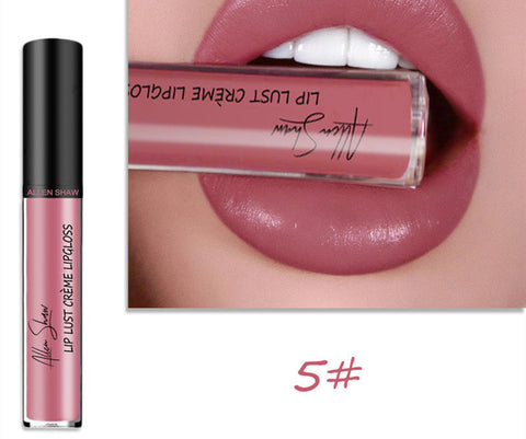 Gloss à lèvres à texture crème soyeuse Aliexpress Shopee Lèvres brillantes exclusives transfrontalières Rouge à lèvres