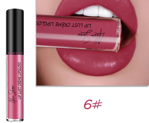 Gloss à lèvres à texture crème soyeuse Aliexpress Shopee Lèvres brillantes exclusives transfrontalières Rouge à lèvres