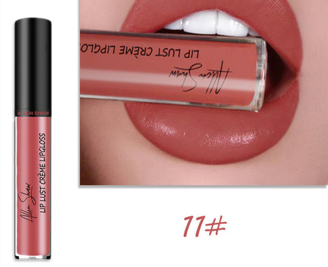 Gloss à lèvres à texture crème soyeuse Aliexpress Shopee Lèvres brillantes exclusives transfrontalières Rouge à lèvres