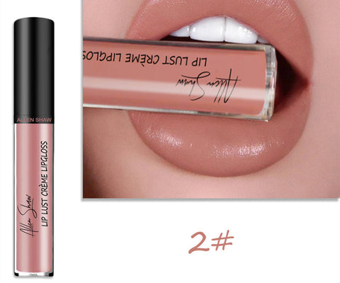 Gloss à lèvres à texture crème soyeuse Aliexpress Shopee Lèvres brillantes exclusives transfrontalières Rouge à lèvres