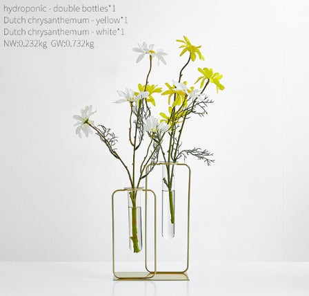 Vase hydroponique transparent en verre pour aneth vert
