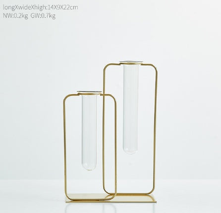 Vase hydroponique transparent en verre pour aneth vert