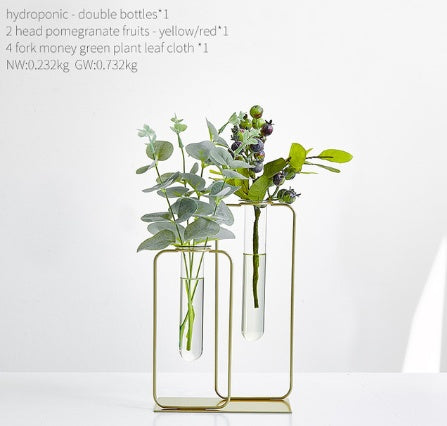 Vase hydroponique transparent en verre pour aneth vert