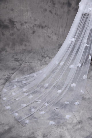 Robe de mariée et voile de mariée
