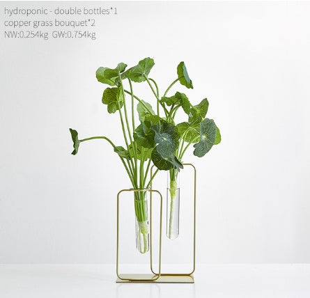 Vase hydroponique transparent en verre pour aneth vert