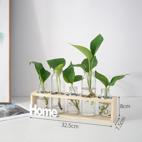 Vase en verre simple et frais pour hydroponie