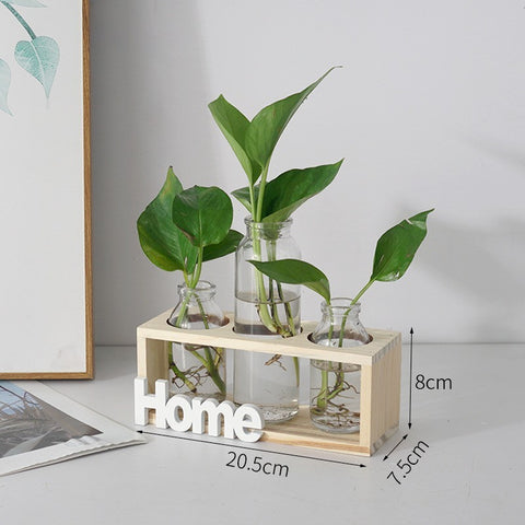 Vase en verre simple et frais pour hydroponie