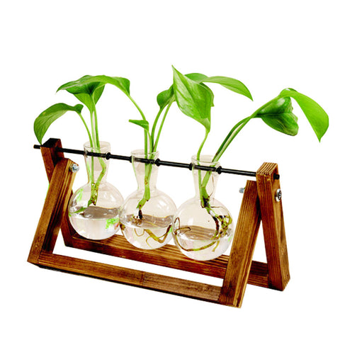 Support en bois pivotant Vase en verre pour plantes hydroponiques