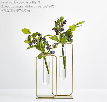 Vase hydroponique transparent en verre pour aneth vert