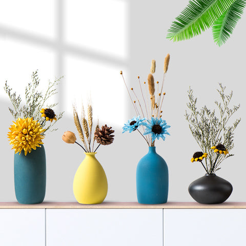 Vase simple créatif hydroponique salon