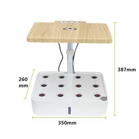 Automated hydroponic vegetable pot