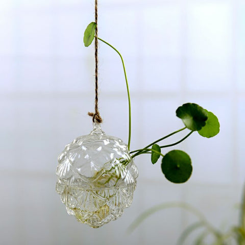 Vase suspendu en verre transparent simple, petite bouteille suspendue hydroponique