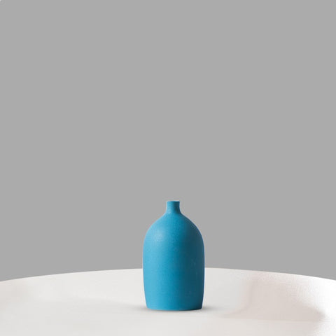 Vase simple créatif hydroponique salon